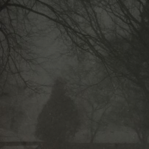 To End a Useless Life